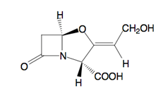 acide clavulanique