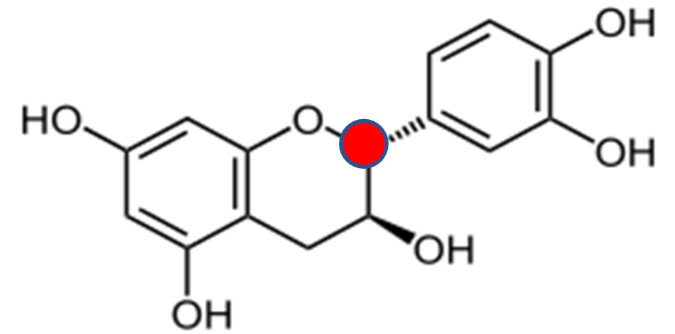 Molécule catéchol