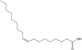 acide oléique insaturé avec une double liaison cis